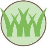 Grass Topdressing Pros