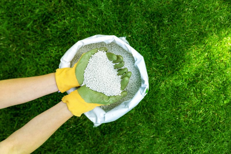Lawn Fungus Treatment in Ventura County, CA