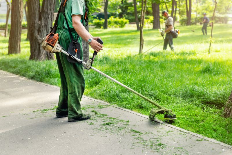 Lawn Trimming in Bowie, MD