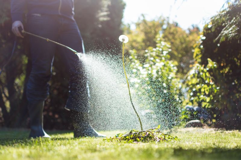 Weed Spraying in Ventura County, CA
